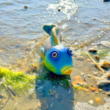 You never know what can wash ashore on Bembridge Beach